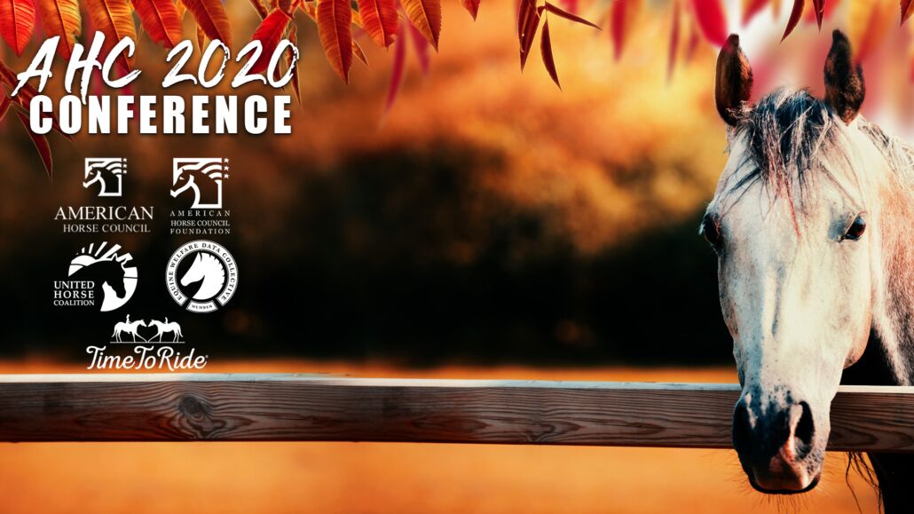 AHCConference2020 Zoom Background Darker.10.16.2020